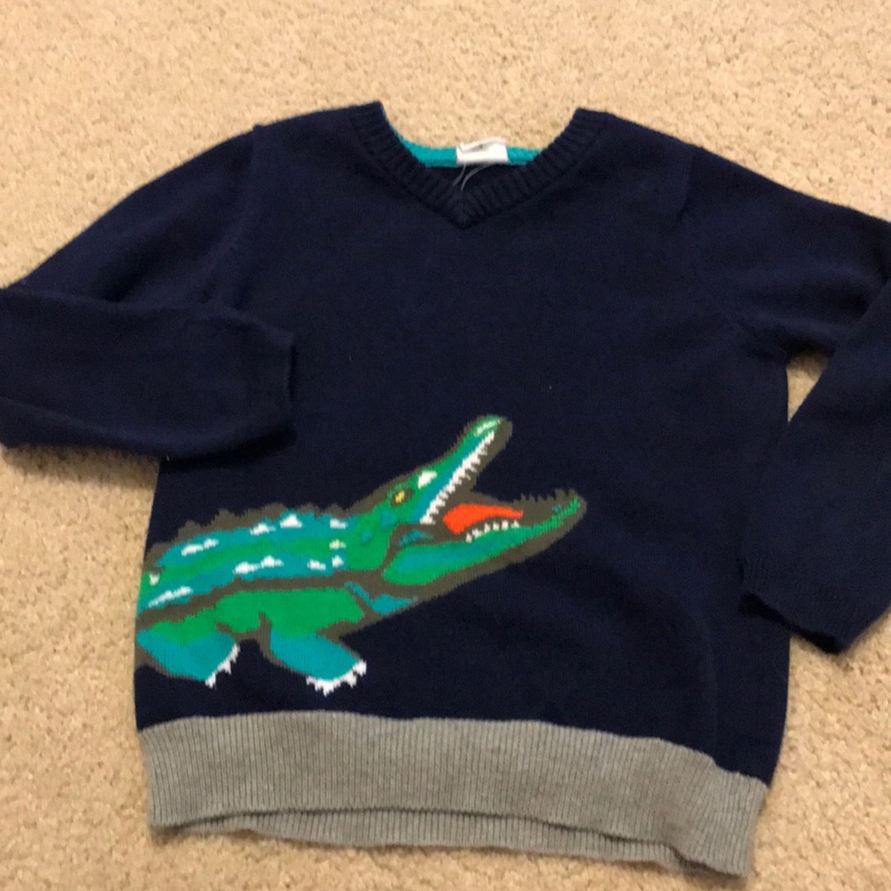 Adorable alligator sweater 🐊